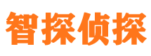 惠阳侦探公司